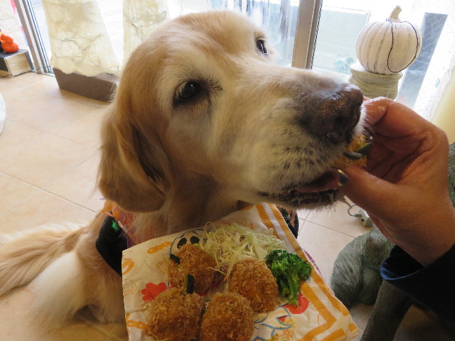 ファイル 5969-5.jpg