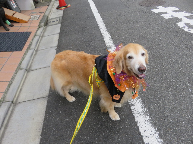 ファイル 5971-1.jpg