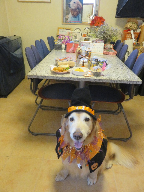 ファイル 5973-1.jpg