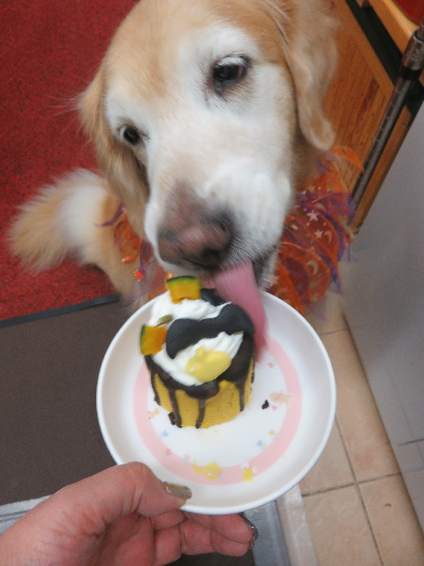 ファイル 5973-5.jpg