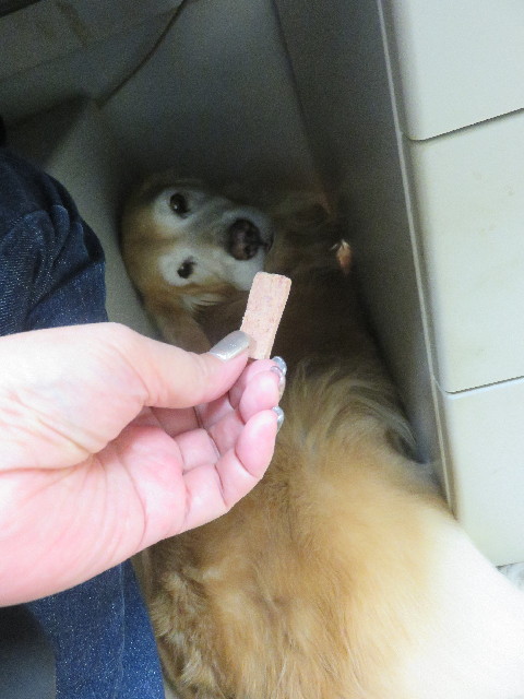 ファイル 5974-4.jpg