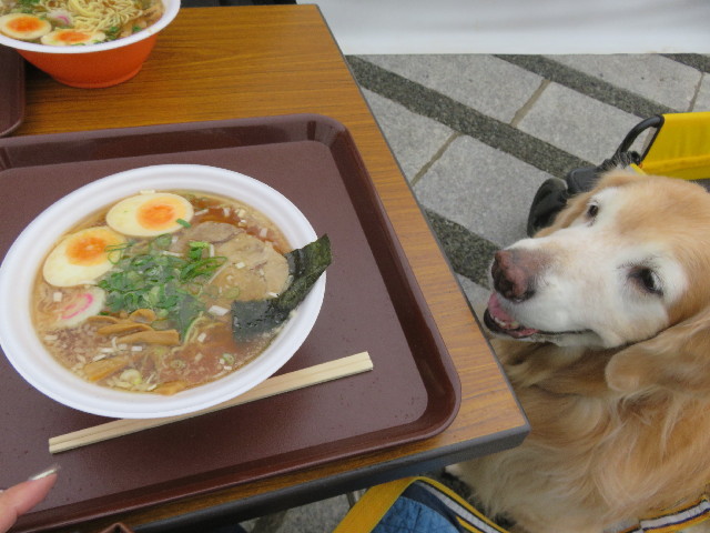 ファイル 5977-1.jpg