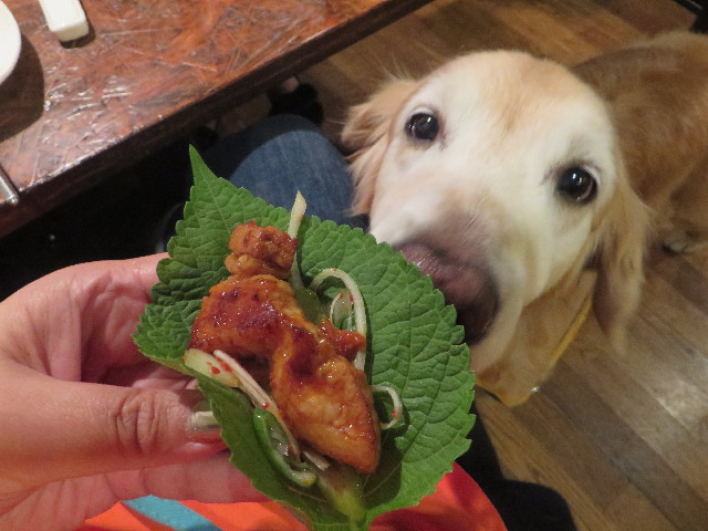 ファイル 5977-4.jpg