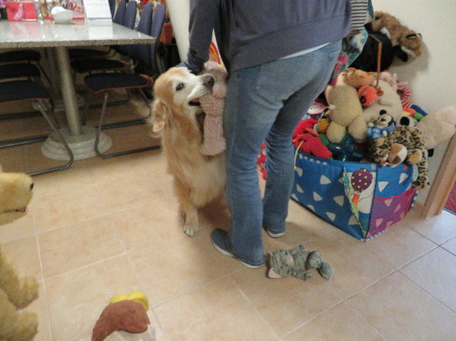 ファイル 5980-3.jpg