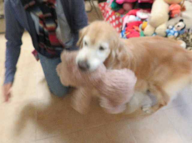 ファイル 5980-4.jpg