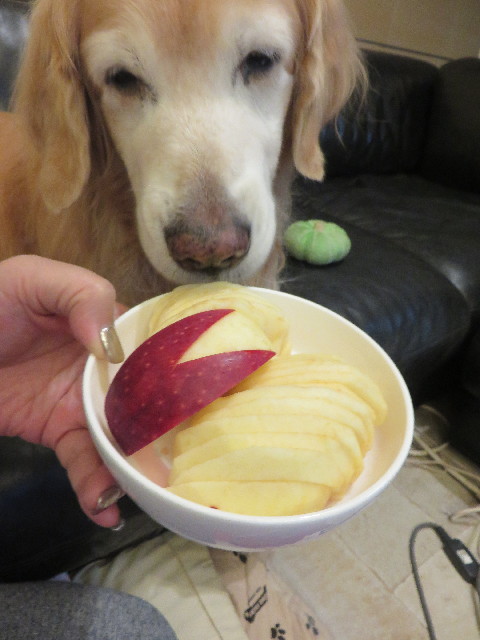 ファイル 5980-5.jpg