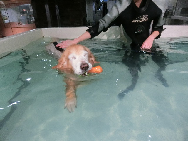 ファイル 5983-1.jpg