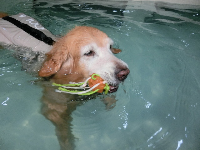 ファイル 5983-4.jpg