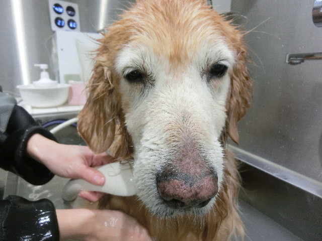 ファイル 5983-5.jpg