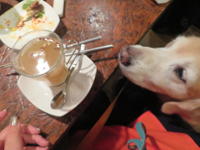 ファイル 5985-3.jpg