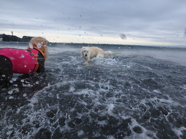 ファイル 5987-5.jpg