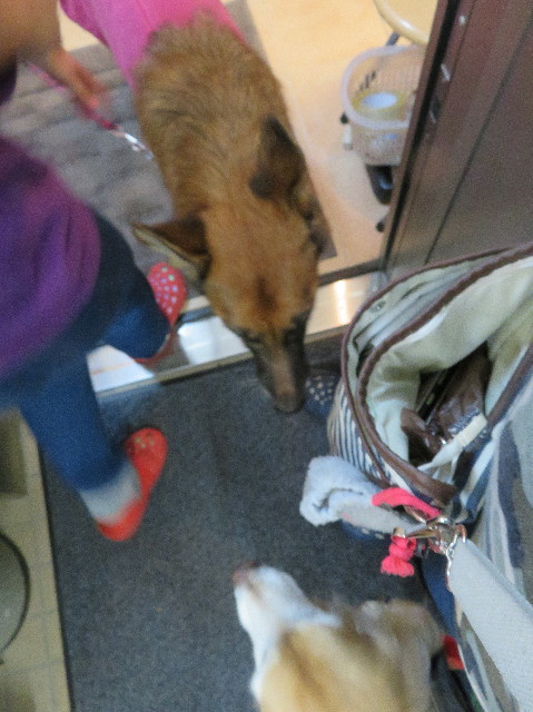 ファイル 5988-2.jpg