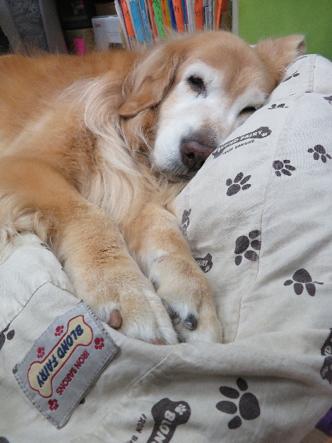 ファイル 5988-4.jpg