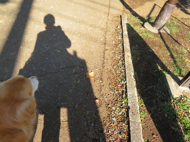 ファイル 5989-1.jpg