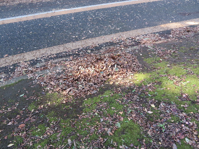 ファイル 5989-2.jpg