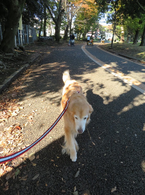 ファイル 5989-3.jpg