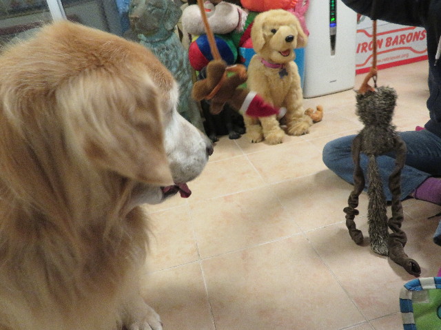 ファイル 5989-5.jpg