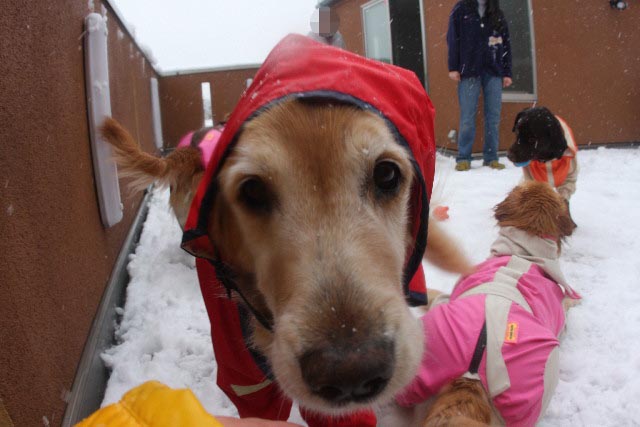 ファイル 599-5.jpg