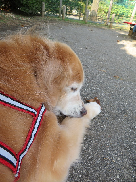 ファイル 5990-3.jpg