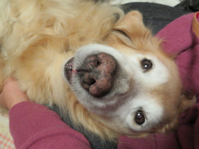 ファイル 5990-5.jpg