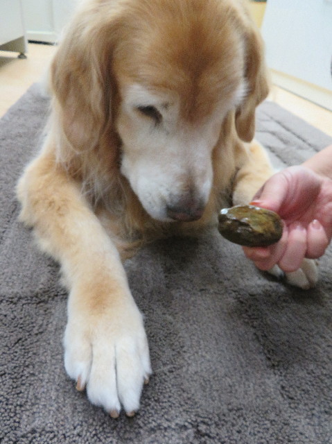 ファイル 5994-5.jpg