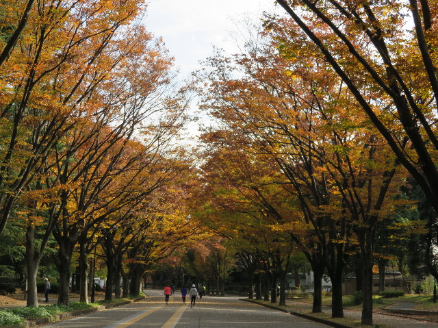 ファイル 5996-2.jpg