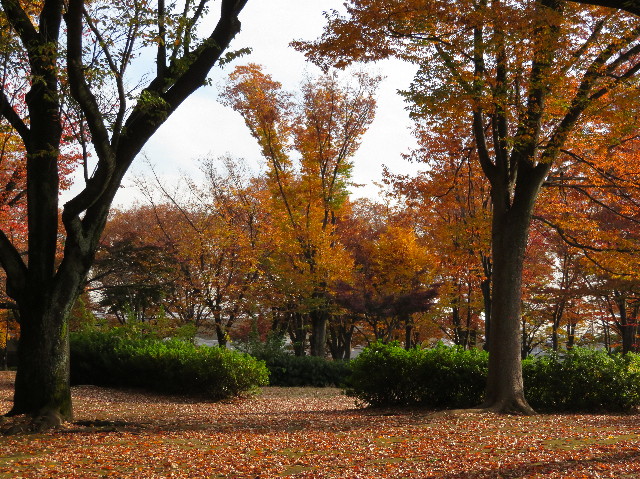 ファイル 5996-3.jpg