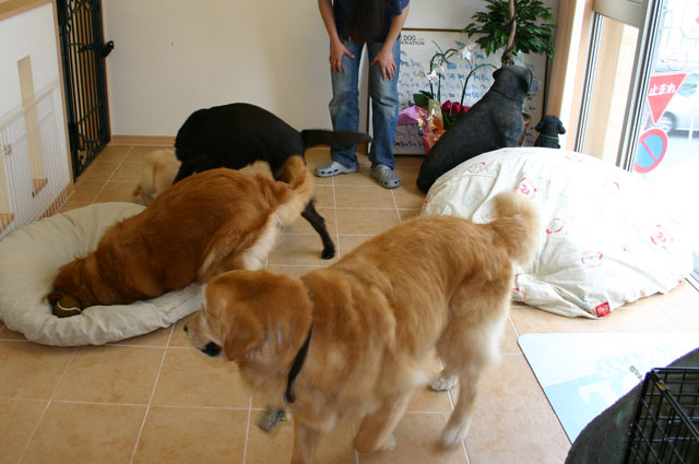 ファイル 6-2.jpg