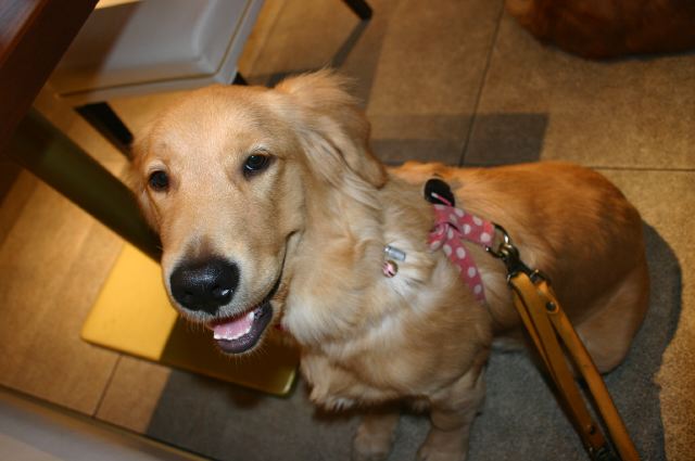 ファイル 60-5.jpg