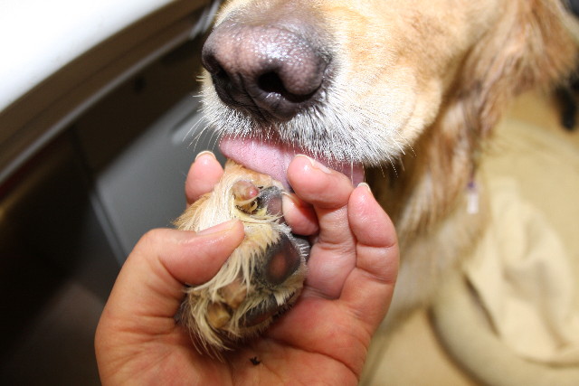 ファイル 600-5.jpg