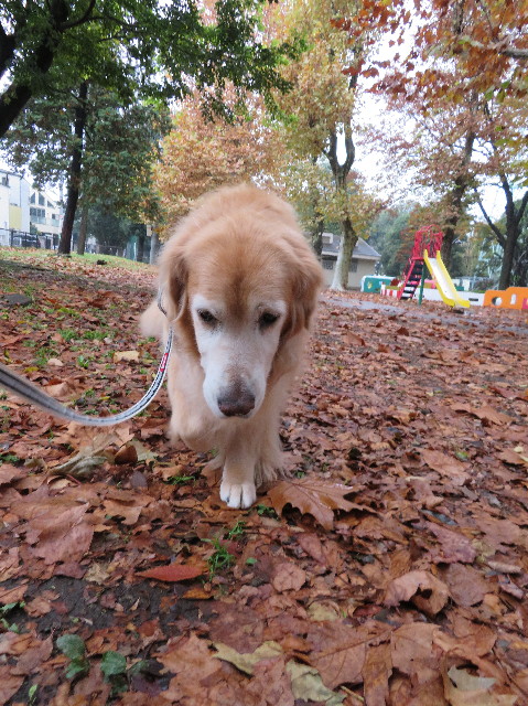 ファイル 6000-3.jpg