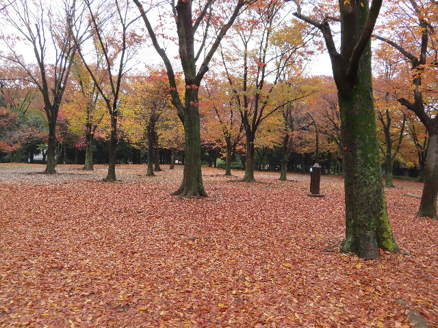 ファイル 6001-1.jpg