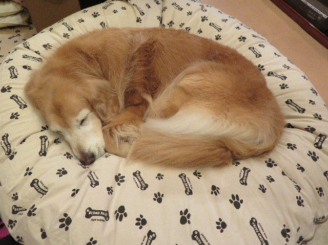 ファイル 6003-5.jpg