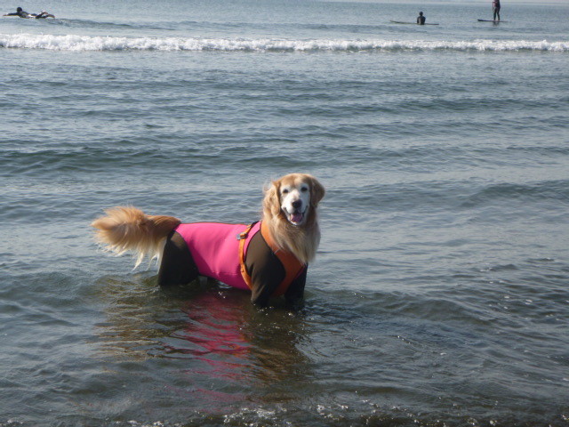 ファイル 6004-1.jpg