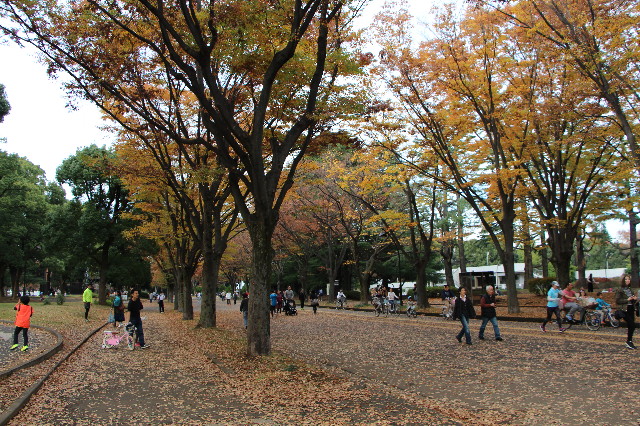 ファイル 6005-1.jpg