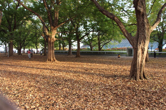 ファイル 6005-4.jpg