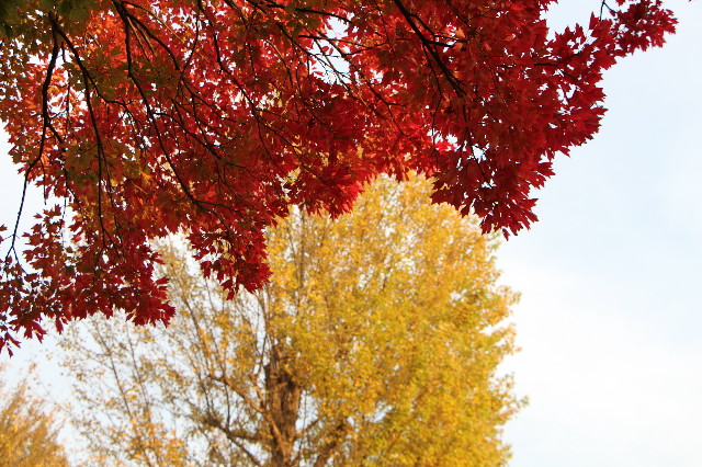 ファイル 6005-5.jpg