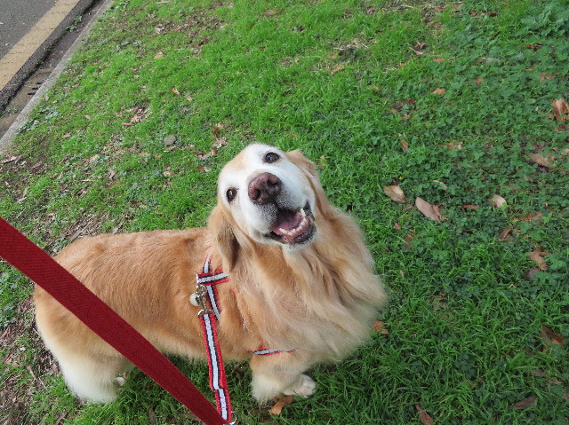 ファイル 6007-1.jpg