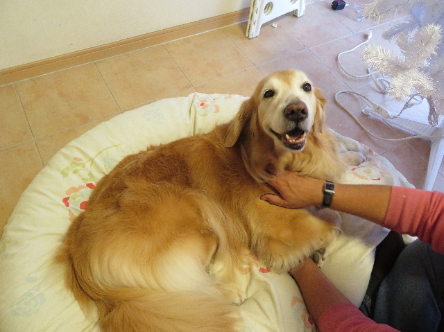 ファイル 6007-5.jpg