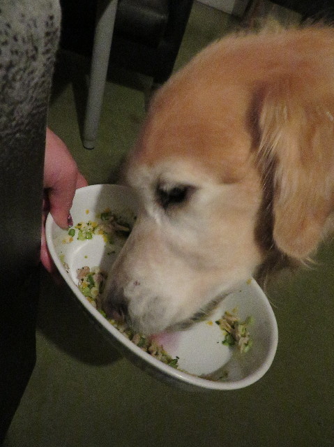 ファイル 6009-2.jpg