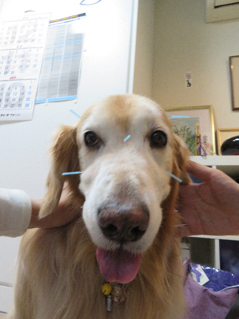 ファイル 6009-4.jpg