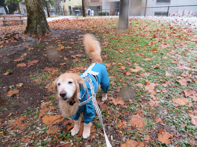 ファイル 6010-1.jpg