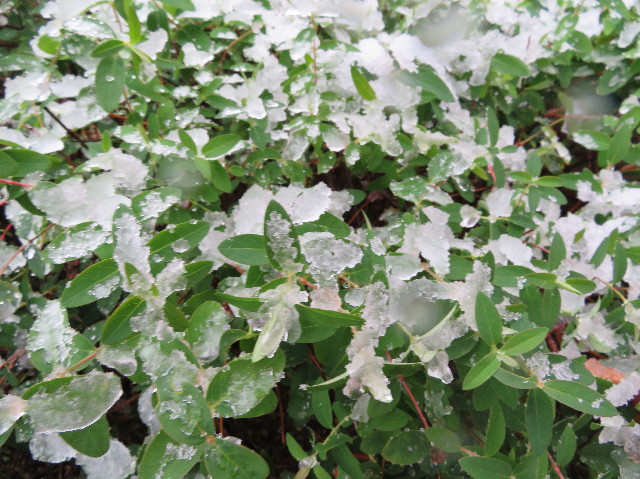 ファイル 6010-3.jpg