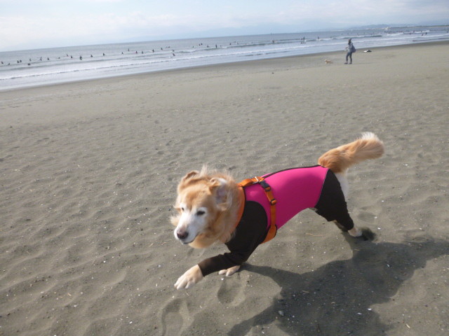 ファイル 6011-2.jpg