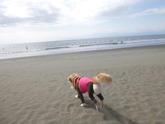 ファイル 6011-3.jpg