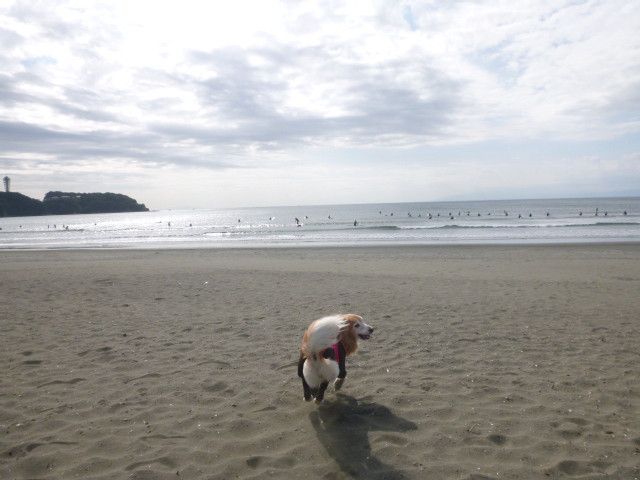 ファイル 6011-4.jpg