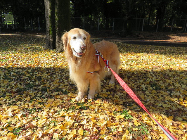 ファイル 6012-1.jpg