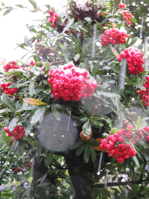 ファイル 6013-4.jpg