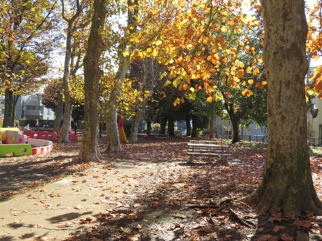 ファイル 6013-5.jpg