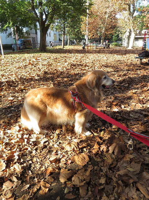 ファイル 6014-2.jpg